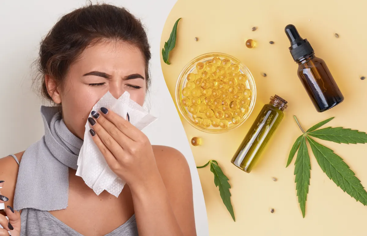 You are currently viewing Ako účinkuje CBD olej na alergiu?